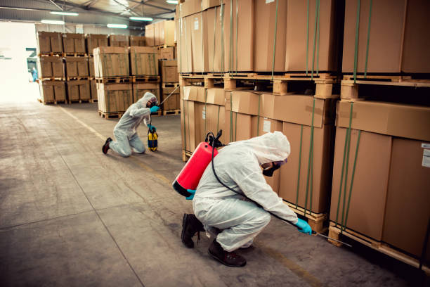 Professional Pest Control in Martinsville, NJ