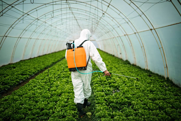 Best Pest Control for Homes  in Martinsville, NJ