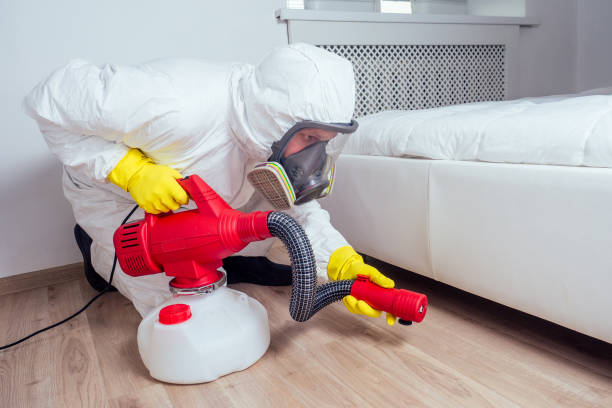 Best Insect Control  in Martinsville, NJ
