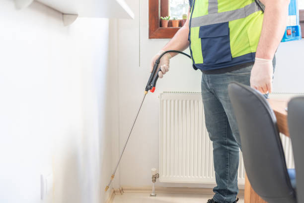 Best Pest Control Near Me  in Martinsville, NJ