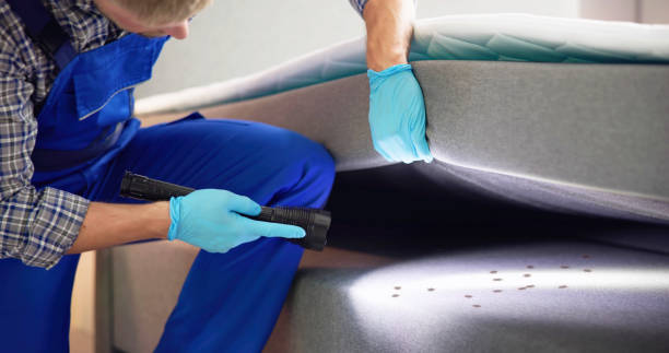 Best Pest Prevention Services  in Martinsville, NJ